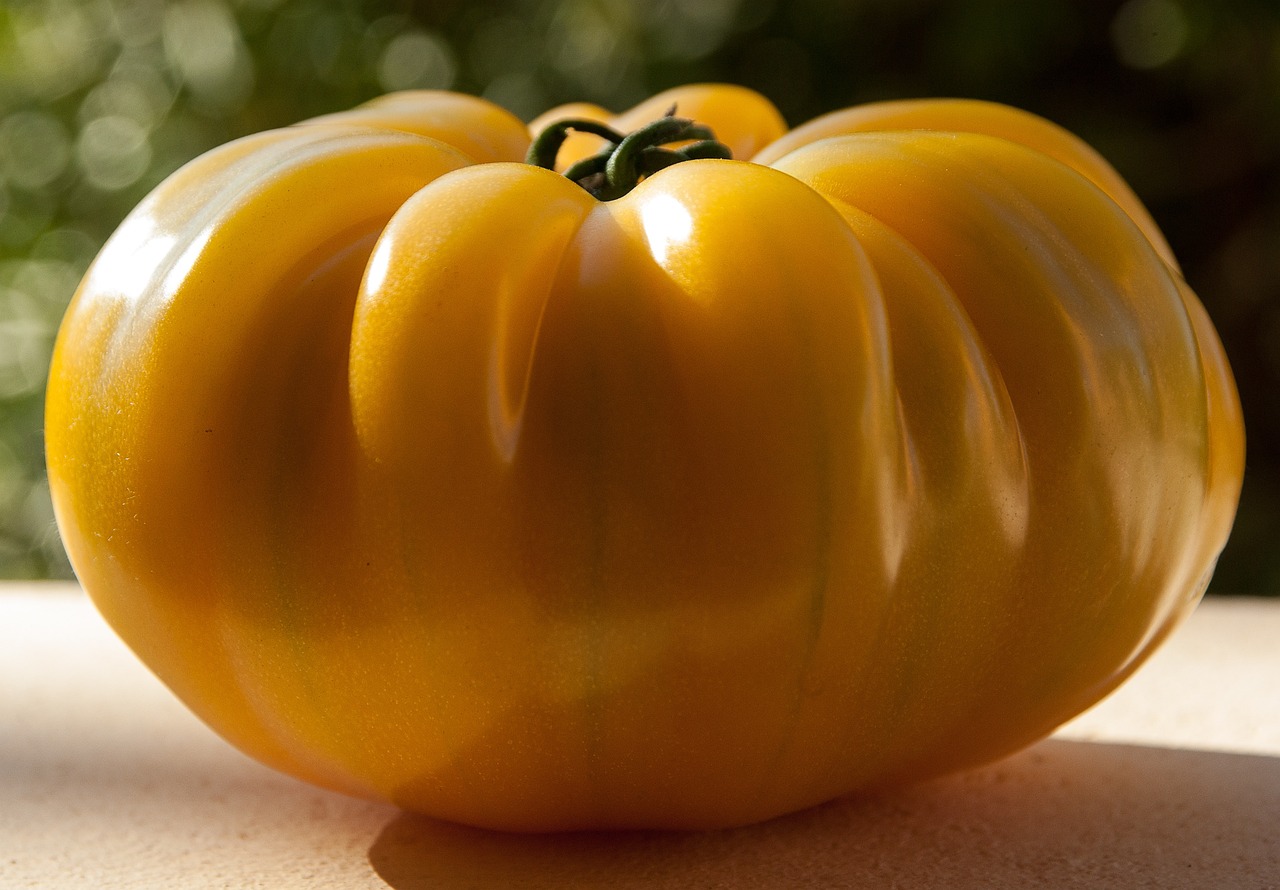 Vegetable Gardening for Beginners: Tips and Tricks